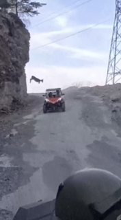 落石かと思ったらヤギ