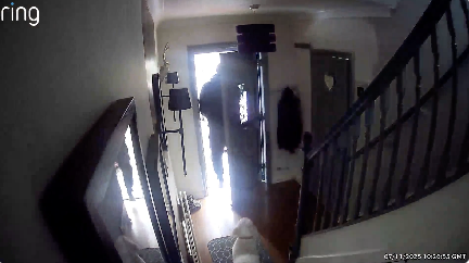 飼い主を締め出す犬