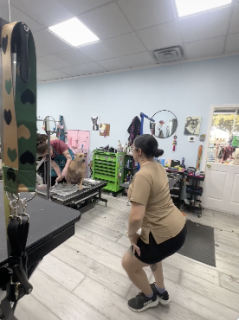 ダンスで気を散らして犬の爪切り