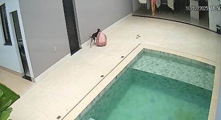 雨が降ってきたので自分のベッドをしまう犬