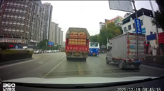 空からニワトリが降ってきた