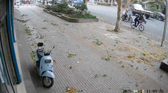 大きな木の枝が自転車の男性を直撃