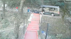 木のおかげで斜面からの転落を免れたミニバン