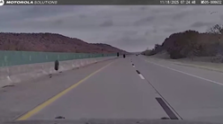 飛んでくる3本のタイヤをかわすパトカー