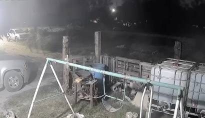 人間に変化する犬