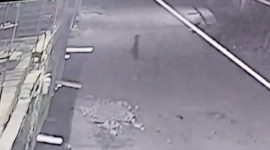 道路を歩く謎の2体の物体