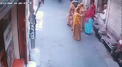 牛に倒された女性が赤ちゃんの落下の衝撃を吸収