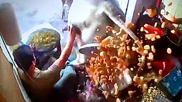 喧嘩中の牛が菓子店を襲う