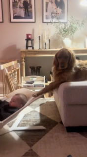 人間の赤ちゃんをあやす犬