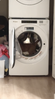 洗濯機をハムスターの回し車のように使う猫