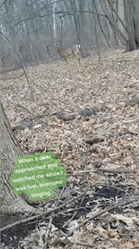 喉歌に魅了された鹿とスキンウォーカー？