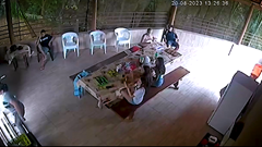 テラスで食事中の一家を巨木が襲う