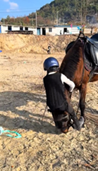 小さな子がひとりで馬に乗る方法