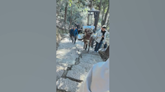 山道で携帯に夢中になるのは危険