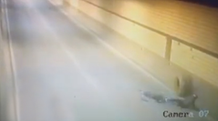 トラックのタイヤに二度衝突されたライダー