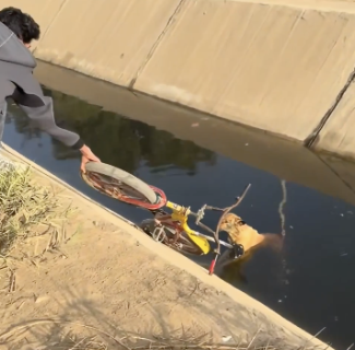 自転車を使って犬を救出