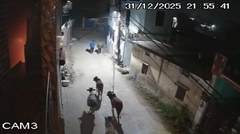 出会い頭に熊と遭遇