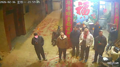 花火を見ていた一家を襲った一発の暴発花火