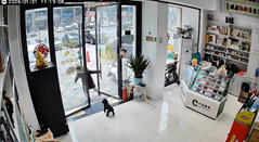 子どもが店のガラスドアを勢いよく閉めて粉々に