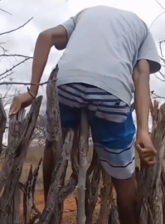 痛すぎる柵越え