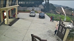 庭で点火した爆竹が家の中に入っていっちゃた