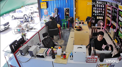 眠っていたはずの猫が鳩を捕まえる