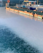 湾の水が白い理由は…①