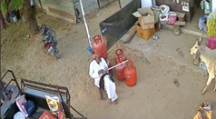 店先に座っていた高齢者に牛が突っ込む