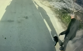 前が見えない猫を救出