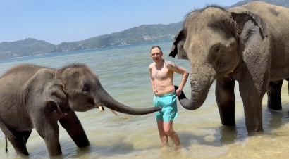 狙い撃ち？してるゾウ